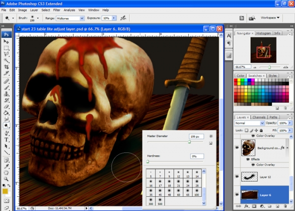 Creation of Pirate Still Life: Step 14